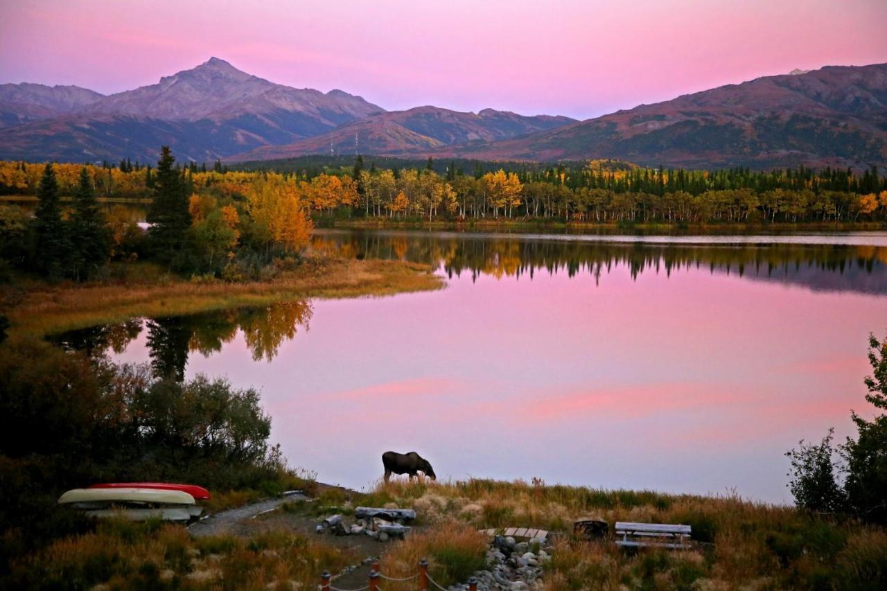 Denali Lakeview Inn Хілі Екстер'єр фото