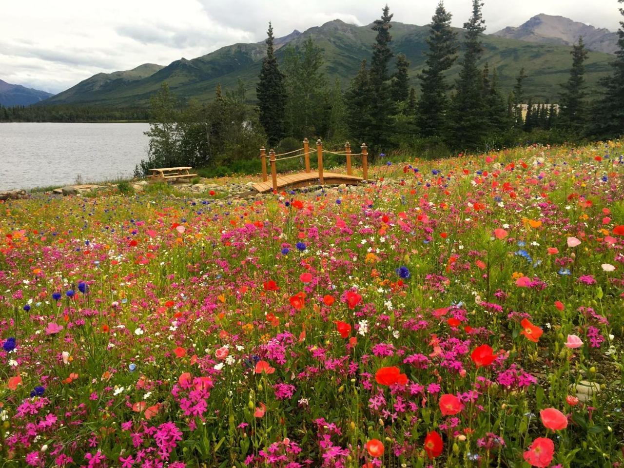 Denali Lakeview Inn Хілі Екстер'єр фото